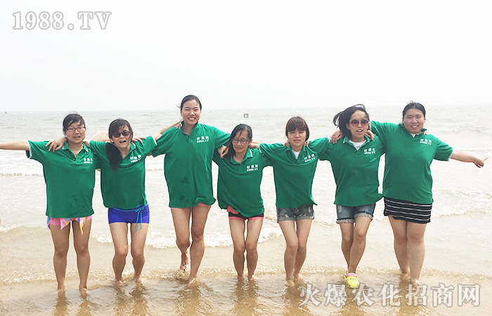 愛上這個夏天:陽光沙灘比基尼和藍(lán)天