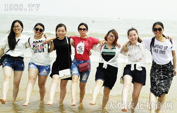 海天相接,我們共度歡樂之旅