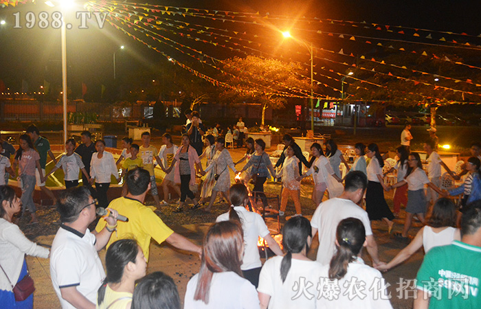 綻放生命的激情,擁抱大海的熱情