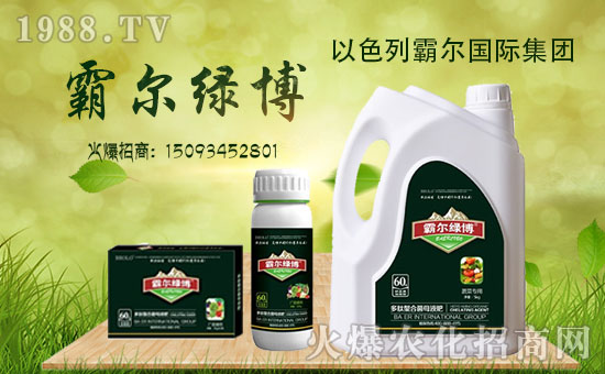 _副本【霸爾國際】送福啦!祝您金雞納福,財(cái)源豐茂,萬事吉祥!