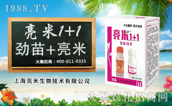 xyȫwTף옷uHҚg