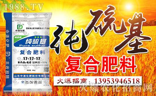 山東中港國際化肥股份有限公司