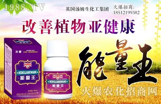 英國(guó)湯姆生化工集團(tuán)有限公司