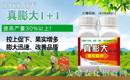 山東菏澤市綠源農(nóng)化有限公司1