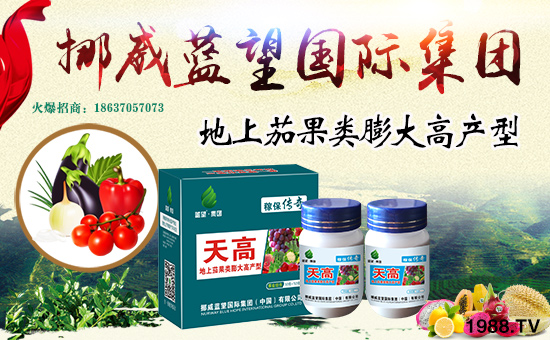 挪威藍望國際集團(中國)有限公司