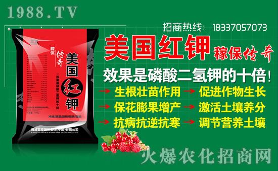 挪威藍望國際集團(中國)有限公司