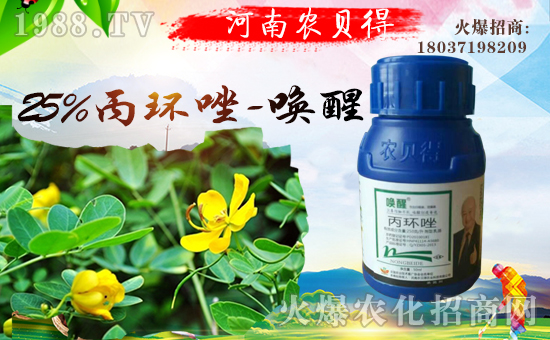 河南農(nóng)貝得農(nóng)業(yè)科技有限公司