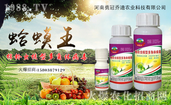 河南勇冠喬迪農業(yè)科技有限公司1