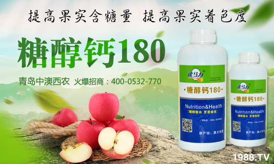 аr(nng)ףtؔ(ci)ԴVM(jn)ϼҸ