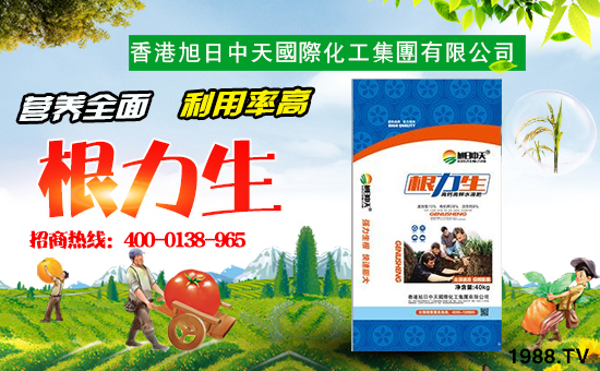 香港旭日中天國際化工集團(tuán)有限公司1