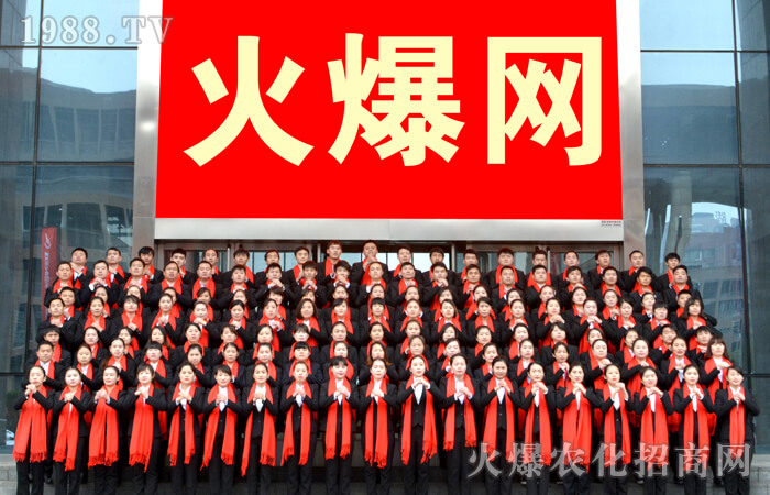 回望2016,憧憬2017!