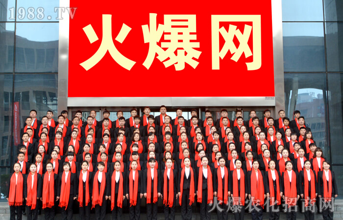 火爆網(wǎng)我夢想開始的地方