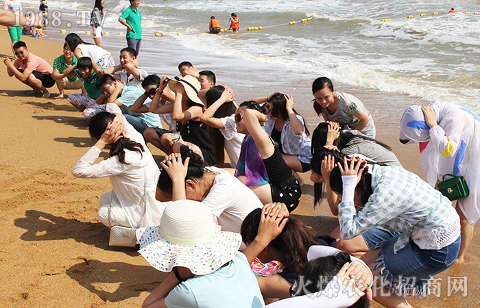 火爆之中的常青藤