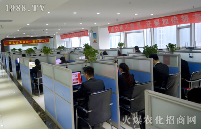 火爆之中的常青藤