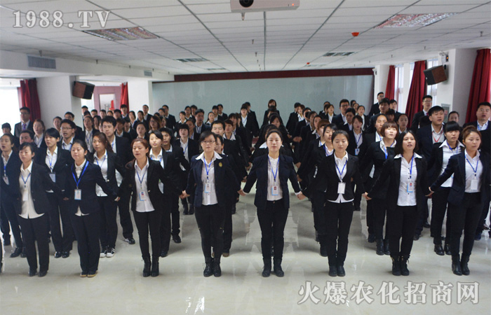 一個(gè)不斷奮斗的溫暖大家庭