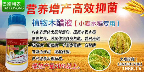 河南諾鑫農(nóng)業(yè)科技有限公司