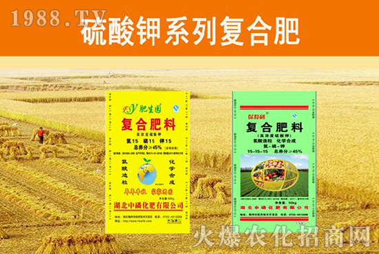 【中磷化肥】恭祝大家新春快樂、身體健康、闔家幸福、萬事如意!