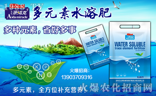 智利艾達國際植物保護集團有限公司