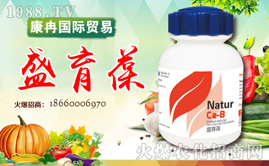 煙臺(tái)康冉國(guó)際貿(mào)易有限公司3