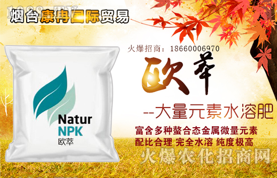 煙臺(tái)康冉國(guó)際貿(mào)易有限公司5