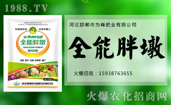 ʘI(y)oף´f