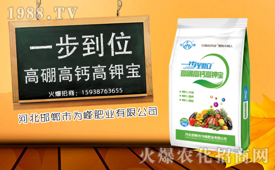 ʘI(y)oף´󼪣f