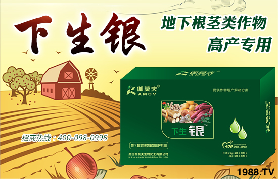 (gu)٤Īȫ(gu)