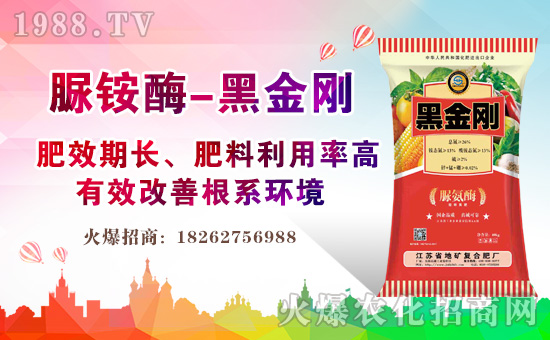 江蘇省地礦復合肥廠1