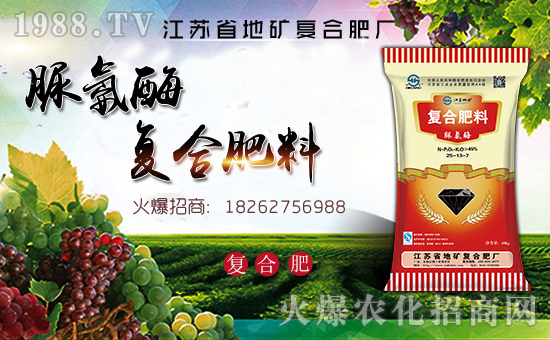 江蘇省地礦復合肥廠