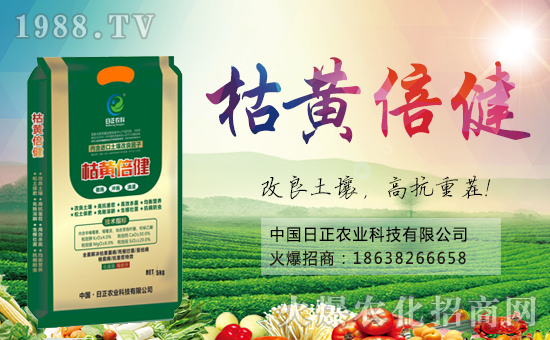 r(nng)ơԸ_^꣬ؔԴLL