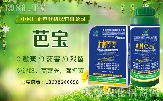 r(nng)ơԸ_^ؔԴLL