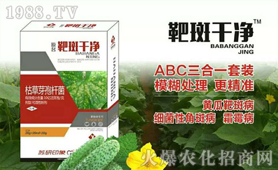 Kӡף2017³HҚg