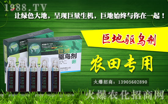 安徽巨地農(nóng)業(yè)科技有限公司