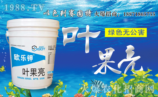 ِءףϿ͑uд\ؔԴLL