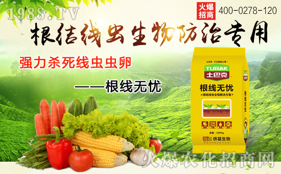 上海僑基生物科技有限公司1