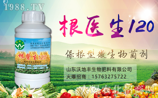 山東沃地豐生物肥料有限公司1