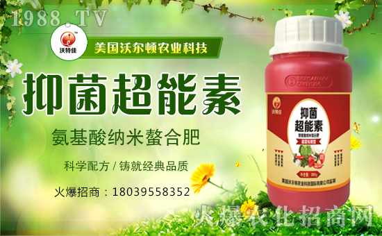 【美國(guó)沃爾頓】恭祝大家新年快樂(lè),萬(wàn)事如意!