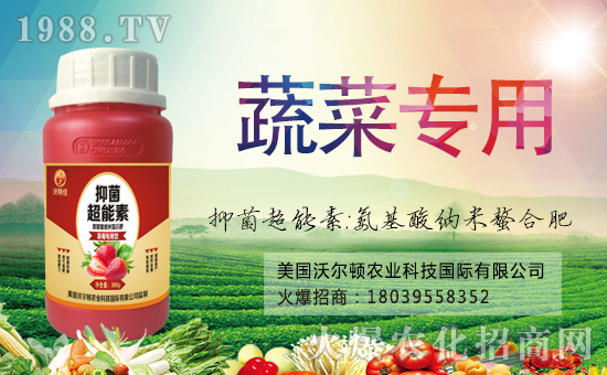 【美國(guó)沃爾頓】恭祝大家新年快樂(lè),萬(wàn)事如意!