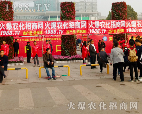     2017ɽ|ֲp(hu)1988.TVŬƴ^ǰ