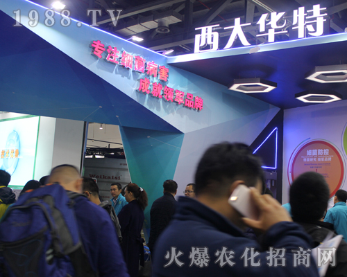 AؿƼ(sh)I(y)2017ϲֲpcs