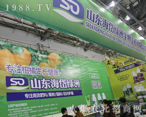 ɽ|᷾G﹤ڵ33ֲpTx