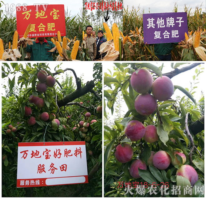 (yng)ʢʘI(y)Ƽ޹˾1