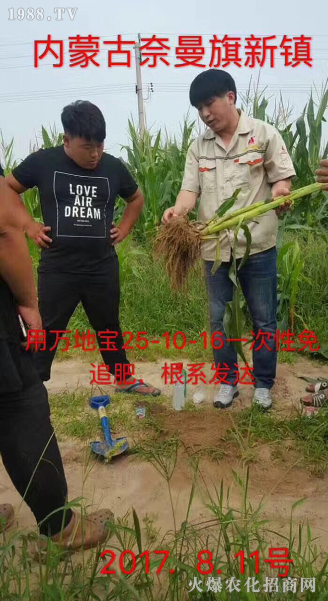 (yng)ʢʘI(y)Ƽ޹˾3