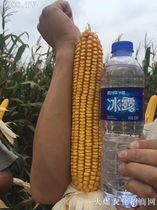 (yng)ʢʘI(y)Ƽ޹˾5