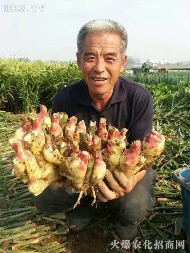 (yng)ʢʘI(y)Ƽ޹˾7