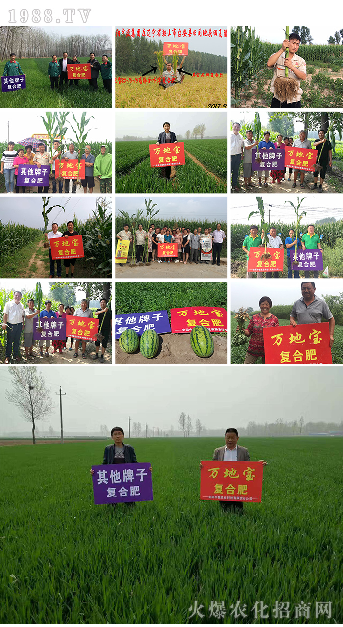 (yng)ʢʘI(y)Ƽ޹˾10