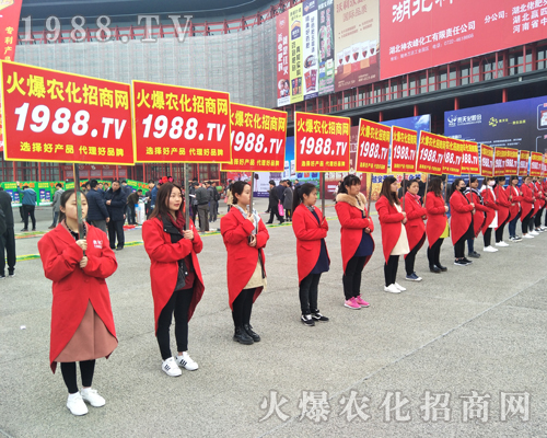 r(nng)W(wng)y2017ݷϕ(zhn)