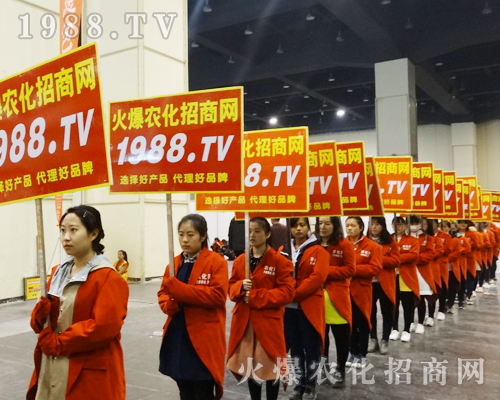     2017ԭϕ(hu)1988.TV(sh)ɓ