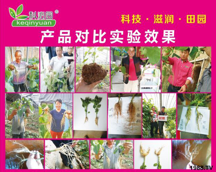 壽光市科沁園肥料有限公司