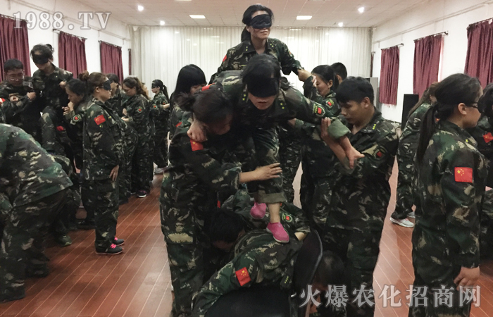 𱬾W(wng)2017(dng)XӖ(xn)IY(ji)